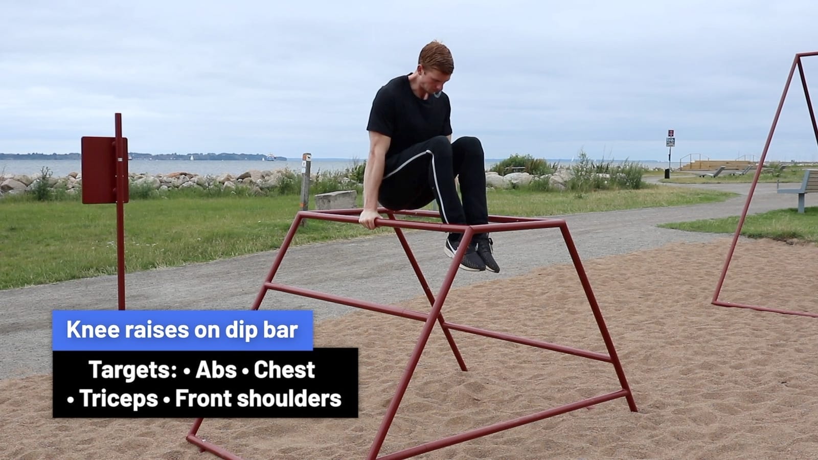 Knee raises on dip bar Exercise Abs/Core